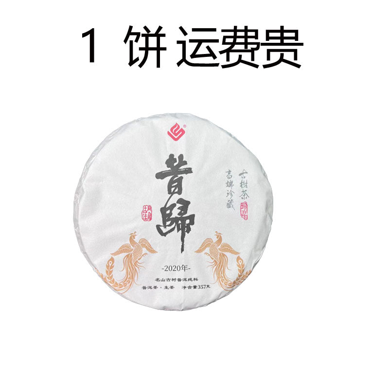 In 2020昔归（生茶）2020年临沧邦东乡昔归村忙麓山的原料（货到付款）汤色淡黄清亮滋味鲜爽甘甜淡淡的果香和独特的兰花香