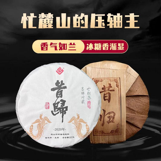 In 2020昔归（生茶）2020年临沧邦东乡昔归村忙麓山的原料（货到付款）汤色淡黄清亮滋味鲜爽甘甜淡淡的果香和独特的兰花香