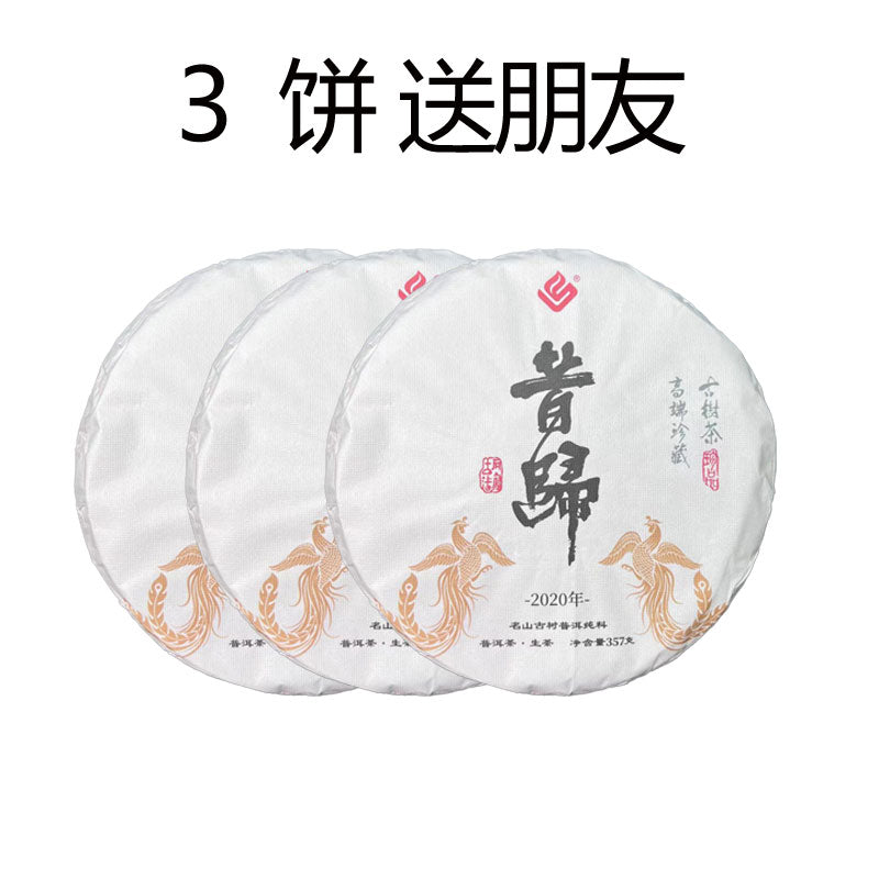 In 2020昔归（生茶）2020年临沧邦东乡昔归村忙麓山的原料（货到付款）汤色淡黄清亮滋味鲜爽甘甜淡淡的果香和独特的兰花香