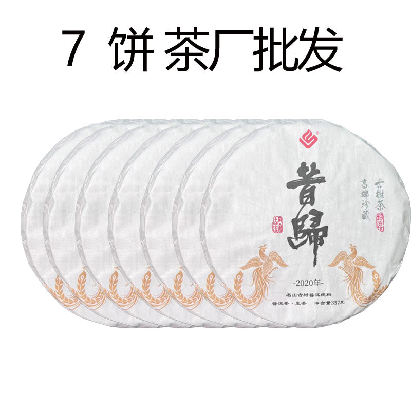 In 2020昔归（生茶）2020年临沧邦东乡昔归村忙麓山的原料（货到付款）汤色淡黄清亮滋味鲜爽甘甜淡淡的果香和独特的兰花香